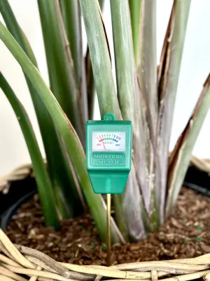 Tropical Moisture Meter